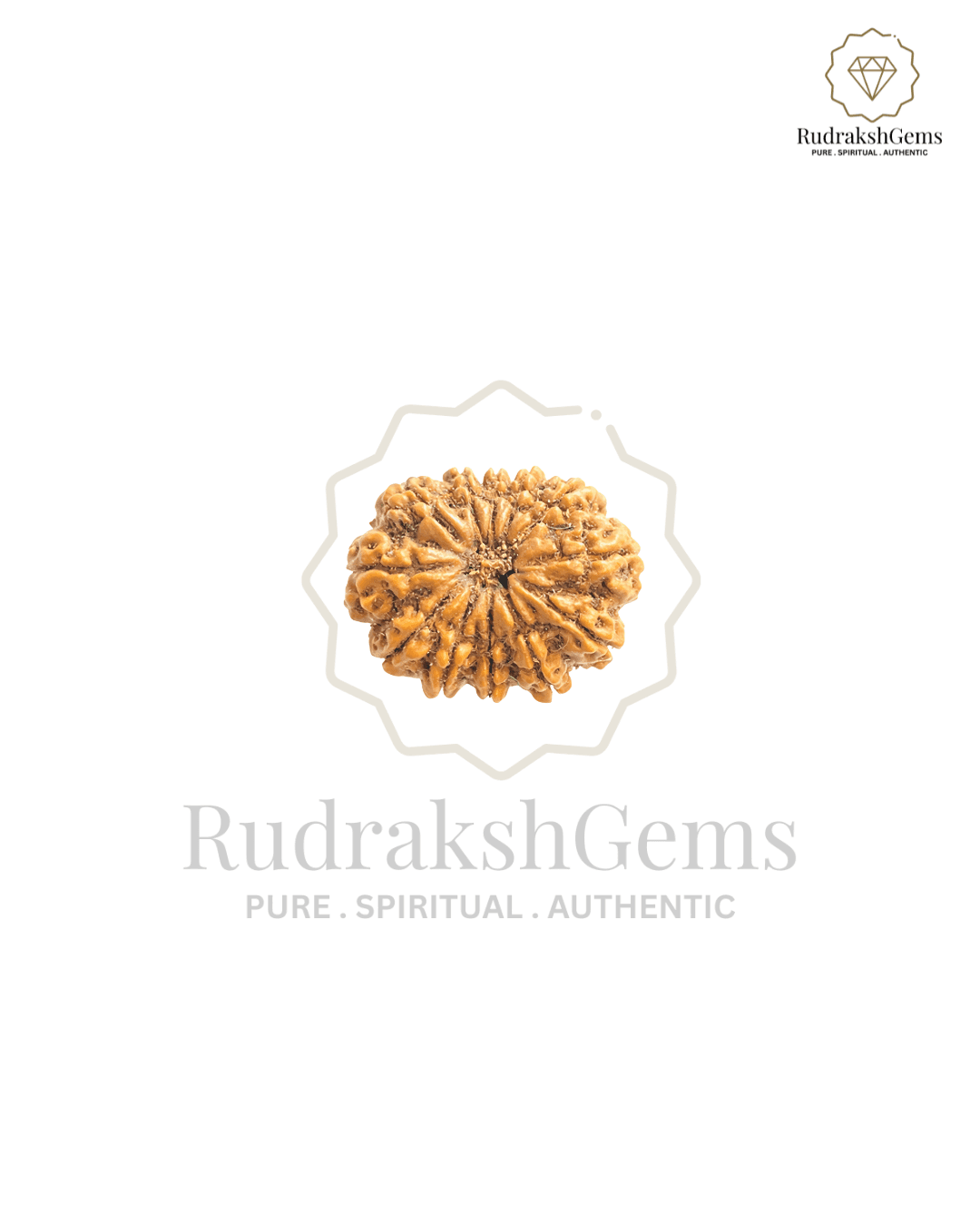 Natural Rudraksha Beads